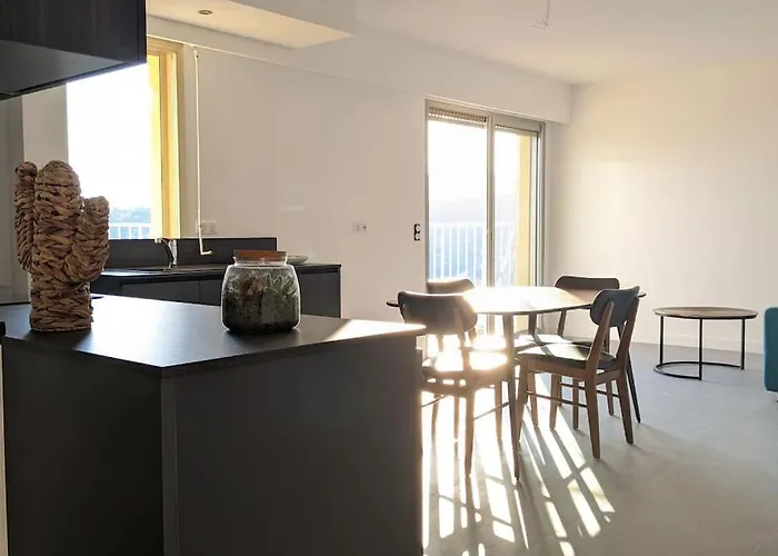 Apartment 3 Pieces Dans Avec Piscine Nizza